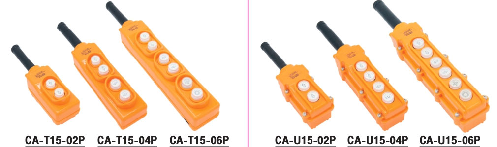 DAKO HOIST PUSH BUTTON SWITCH 2