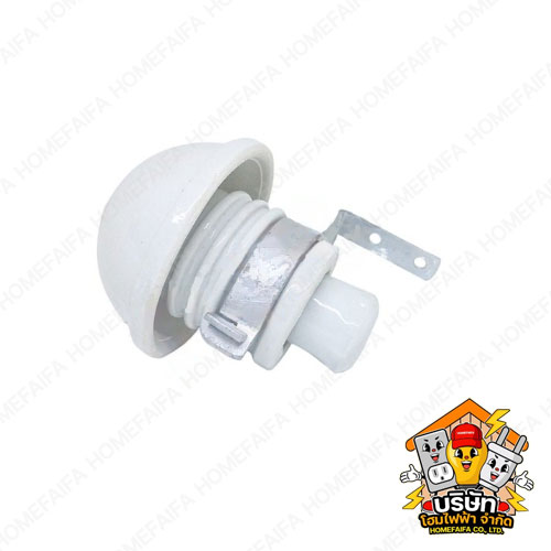 คัทติกฟิวส์ดอกเห็ด