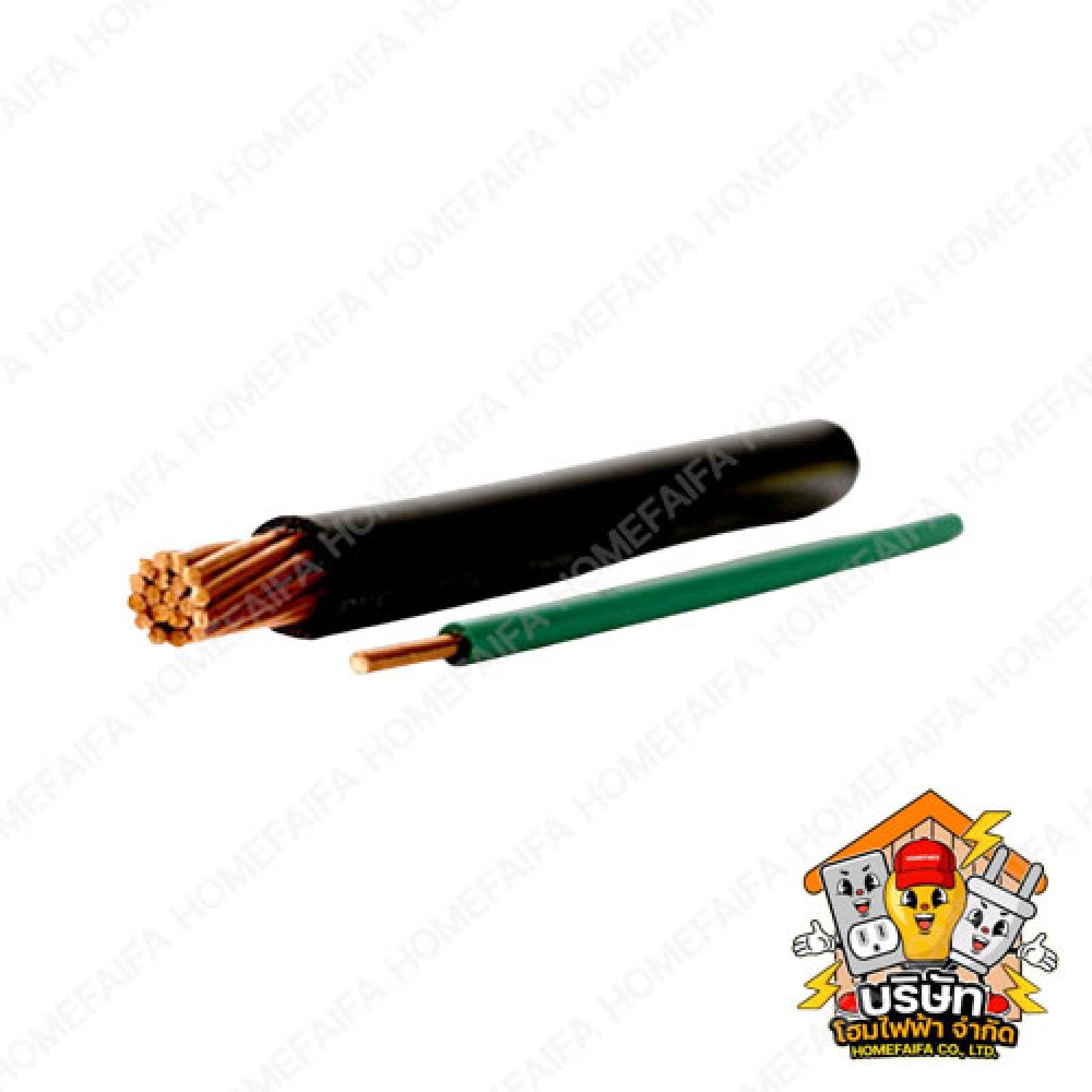 สาย THW YAZAKI, ANT, Thai Union, Main, PKS, Enternal, BCC (บางกอก)